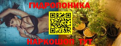 крисы Апшеронск