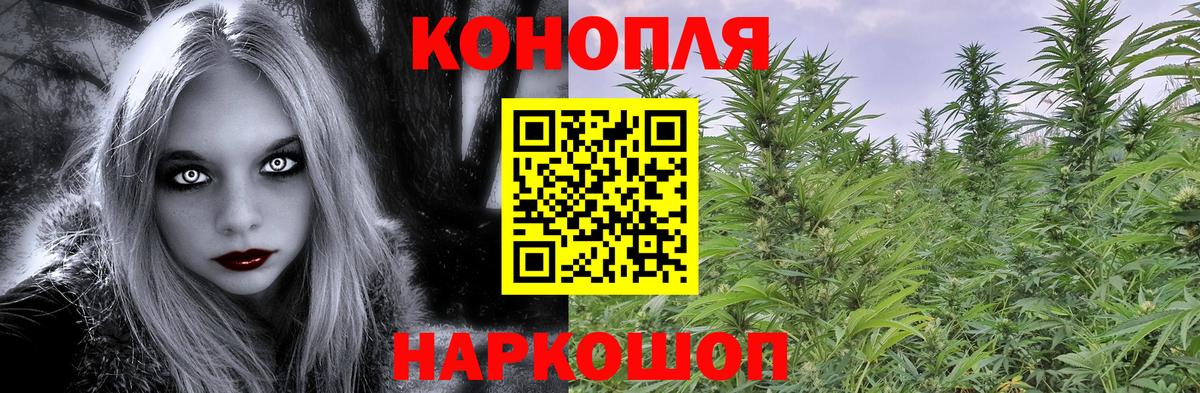 МАРИХУАНА конопля Выборг